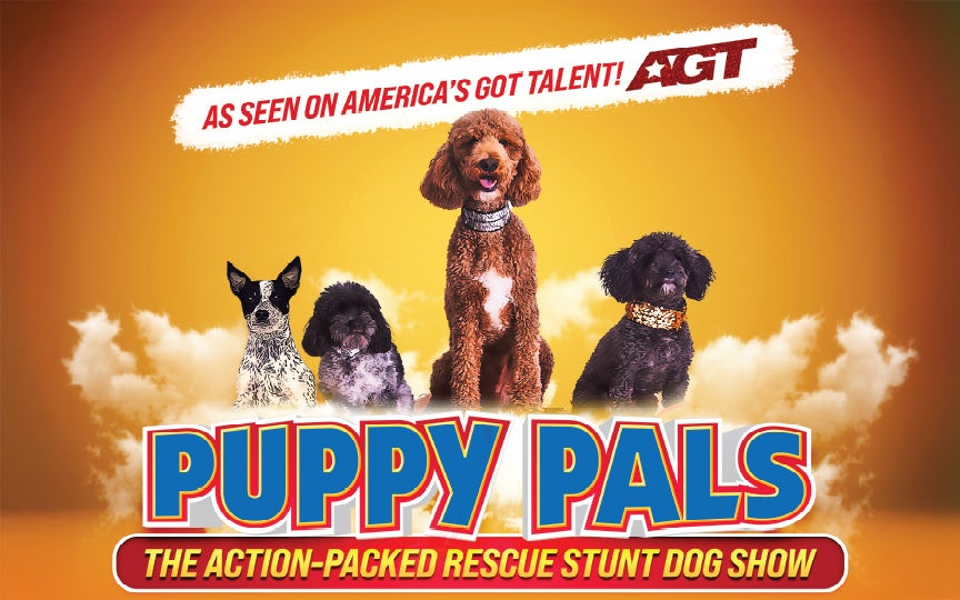 More Info for Puppy Pals Live!