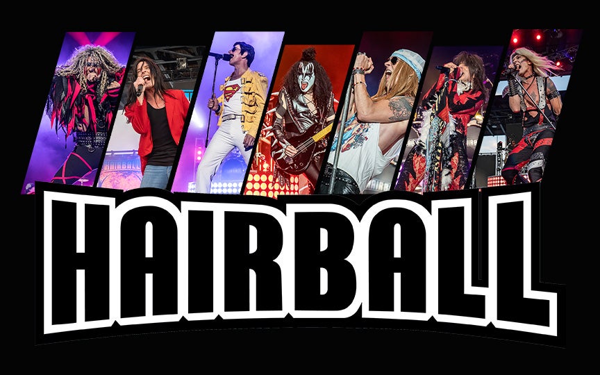 More Info for Hairball