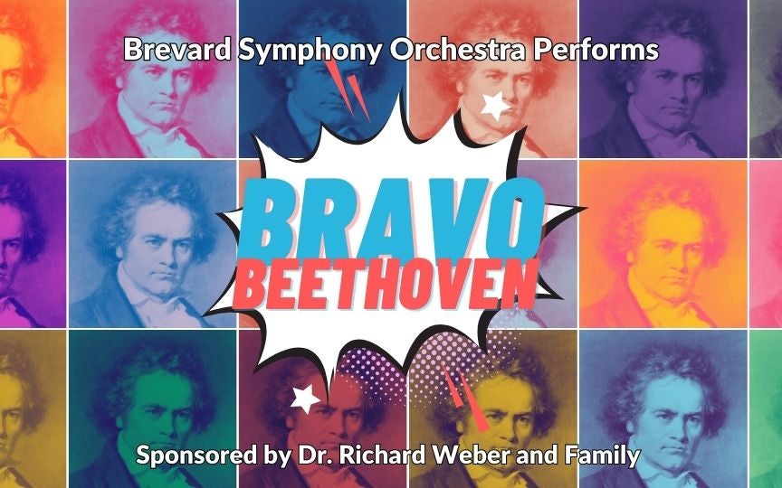 More Info for Bravo Beethoven