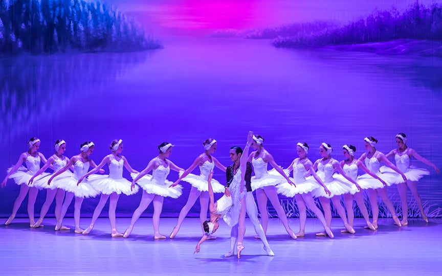 More Info for Swan Lake