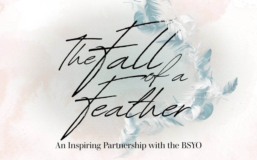 Brevard Symphony Orchestra The Fall of a Feather Promotional Graphic
