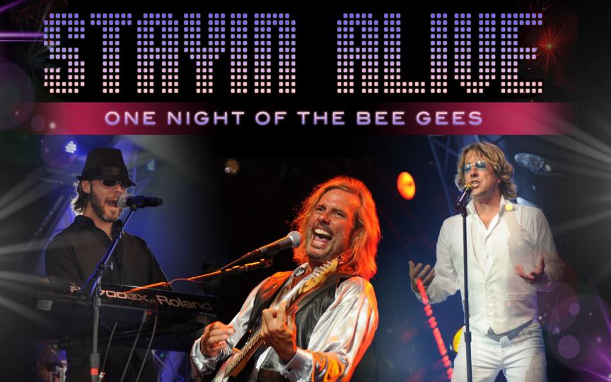 More Info for Stayin' Alive: One Night of the Bee Gees